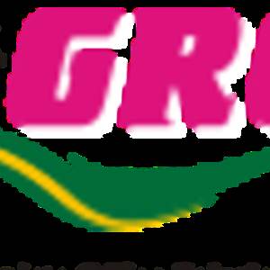 grssystems pune
